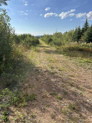 200 ACRES CR 573, ISHPEMING, MI 49849 - Image 1