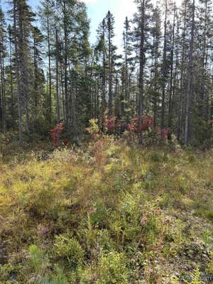 2662 ACRES MARQUETTE COUNTY, ISHPEMING, MI 49849 - Image 1