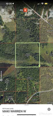 40 ACRES OFF PAINT RIVER, CRYSTAL FALLS, MI 49920 - Image 1