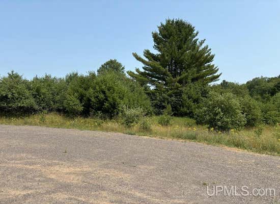 TBD LOT 4(EAST) LAHTI, HOUGHTON, MI 49931, photo 2 of 15