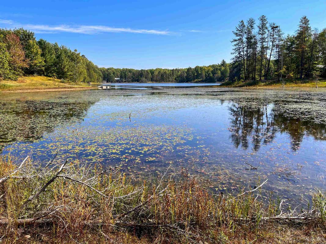 TBD E MARTIN LAKE, SKANDIA, MI 49885, photo 1 of 25