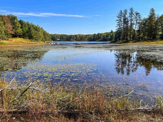 TBD E MARTIN LAKE, SKANDIA, MI 49885 - Image 1