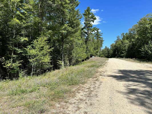 TBD HEMLOCK VIEWS, MANISTIQUE, MI 49854, photo 4 of 71