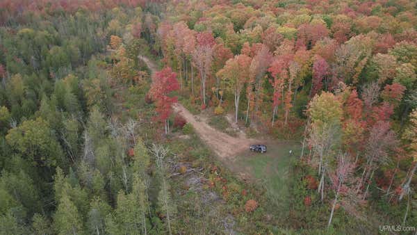 120 ACRES OFF COUNTY ROAD 327, RUMELY, MI 49826 - Image 1