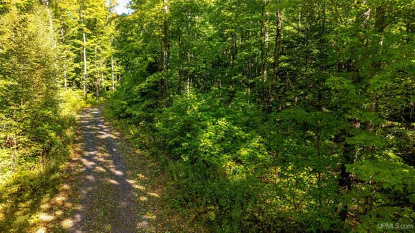 UNIT 13 REDRIDGE CREEK, ATLANTIC MINE, MI 49905 - Image 1