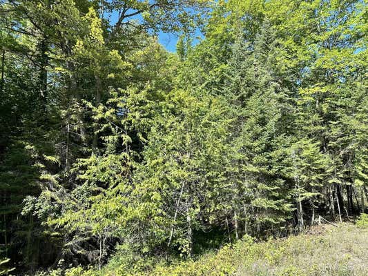 TBD HEMLOCK VIEWS, MANISTIQUE, MI 49854, photo 2 of 71