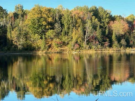 TBD MAGGIE LAKES TRAIL, CRYSTAL FALLS, MI 49920 - Image 1