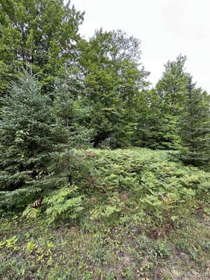 LOT #6 MAPLE RIDGE, NEGAUNEE, MI 49866 - Image 1