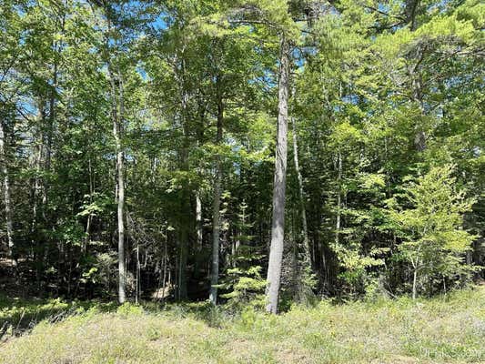 TBD HEMLOCK VIEWS, MANISTIQUE, MI 49854 - Image 1