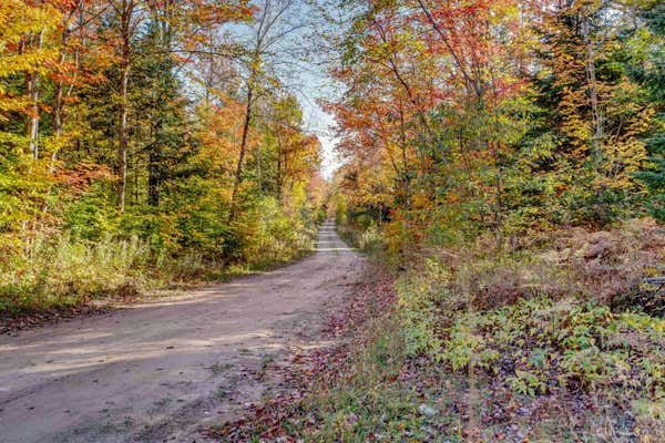 11591 WALSH GRADE, SENEY, MI 49883, photo 2 of 25