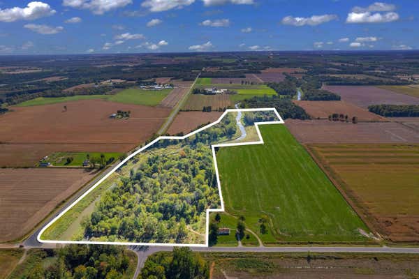 V/L 47 ACRES FRENCH LINE ROAD, CARSONVILLE, MI 48419 - Image 1