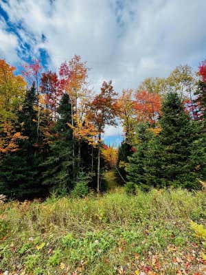 LOT #6 MAPLE RIDGE, NEGAUNEE, MI 49866 - Image 1