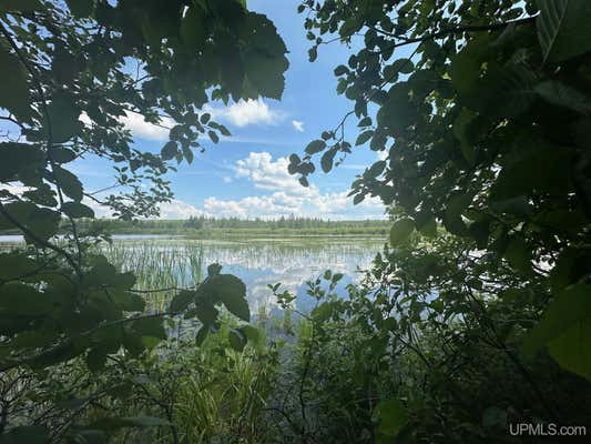 TBD W BRULE LAKE, IRON RIVER, MI 49935 - Image 1