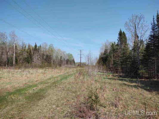 80 ACRES OFF CO RD 426, CORNELL, MI 49818 - Image 1