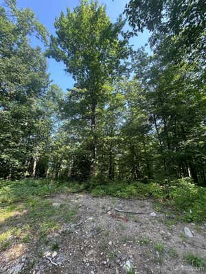 PARCEL 1B BRIDGEVIEW, NEGAUNEE, MI 49866 - Image 1