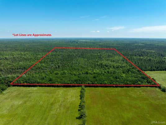 TBD N SUNDELL, EBEN JUNCTION, MI 49825 - Image 1