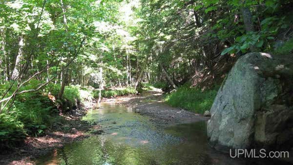 000 NEAR BIG BAY, MARQUETTE, MI 49855 - Image 1