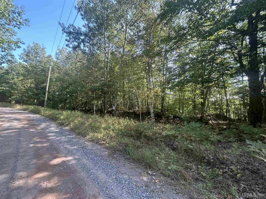 TBD MCCLURE DAM, NEGAUNEE, MI 49866 - Image 1