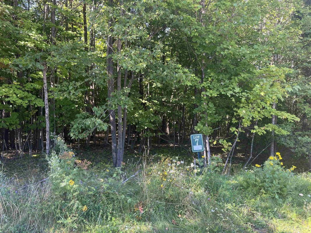 2014 MAPLE RIDGE DR LOT 7, MARQUETTE, MI 49855, photo 1 of 7