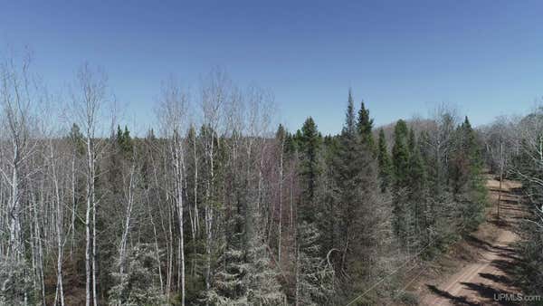 492 ACRES HELEN LAKE, REPUBLIC, MI 49879 - Image 1