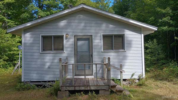 1010 COUNTY LINE LAKE, BRUCE CROSSING, MI 49912 - Image 1