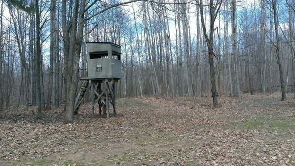 NHN 40 ACRES HEATH, LUPTON, MI 48635 - Image 1