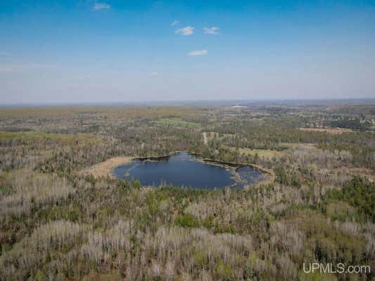 TBD PARKS FARM, AMASA, MI 49903 - Image 1