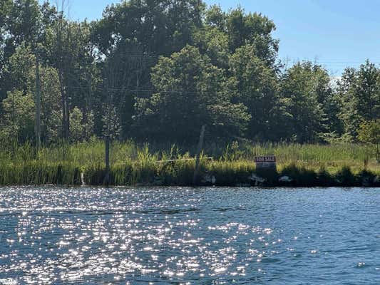 0 MIDDLE CHANNEL, HARSENS ISLAND, MI 48028 - Image 1