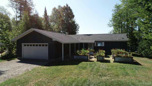 N485 TANGLEWOOD DR, WETMORE, MI 49895 - Image 1