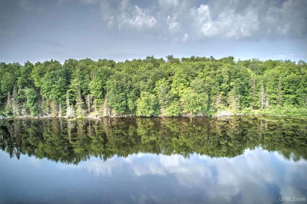 LOT 3 PETTICOAT LAKE, MICHIGAMME, MI 49862 - Image 1