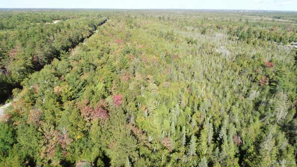 TBD CO RD 442, MANISTIQUE, MI 49854 - Image 1