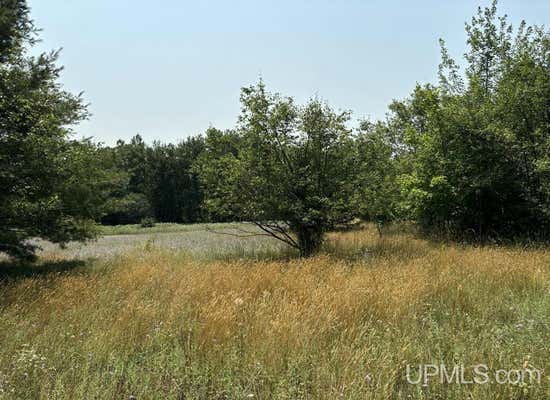 TBD LOT 3(EAST) LAHTI, HOUGHTON, MI 49931 - Image 1