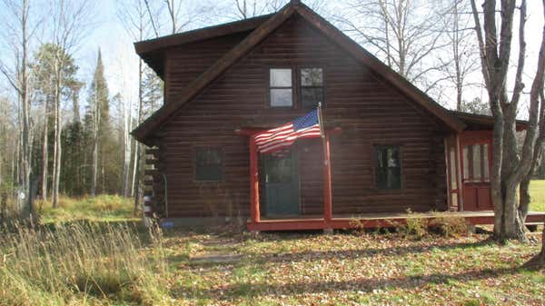 13749 KOSKI RD, BARAGA, MI 49908 - Image 1