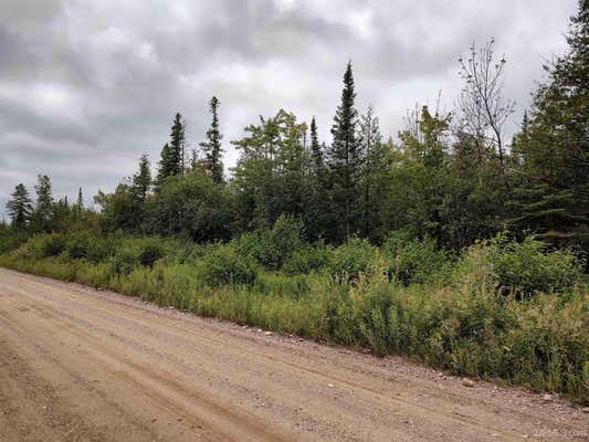 80 ACRES SEC 21 CO RD N415, MCMILLAN, MI 49853 - Image 1