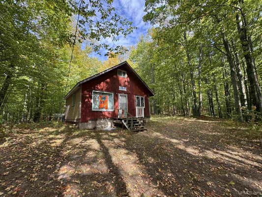 8860 W FOX LAKE, SAGOLA, MI 49881 - Image 1