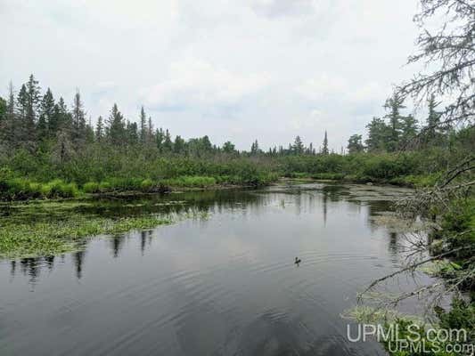 40 ACRES FH 16, IRON RIVER, MI 49935 - Image 1