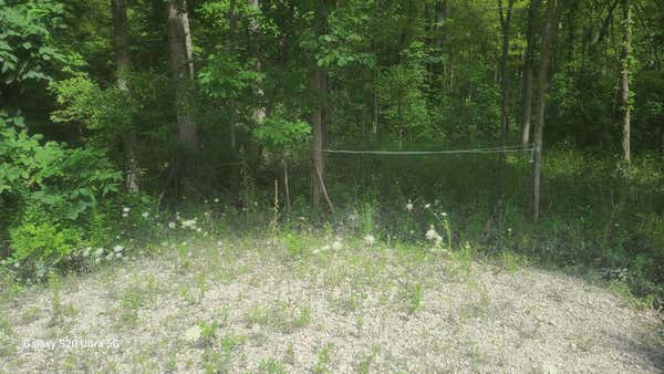 24661 28 MILE RD, RAY TWP, MI 48096 - Image 1