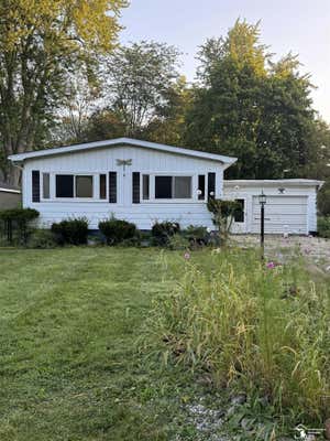 113 1/2 SHERMAN ST, BLISSFIELD, MI 49228 - Image 1