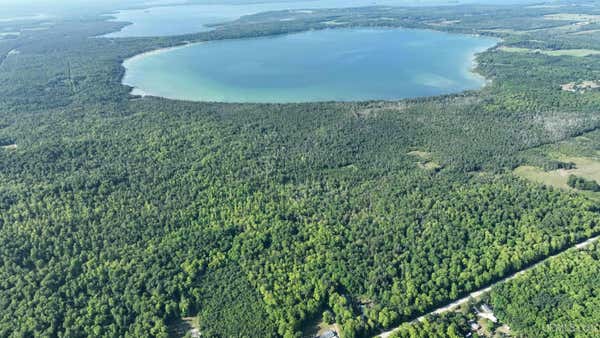 N MANISTIQUE LK OFF TRESSLER, MCMILLAN, MI 49853 - Image 1