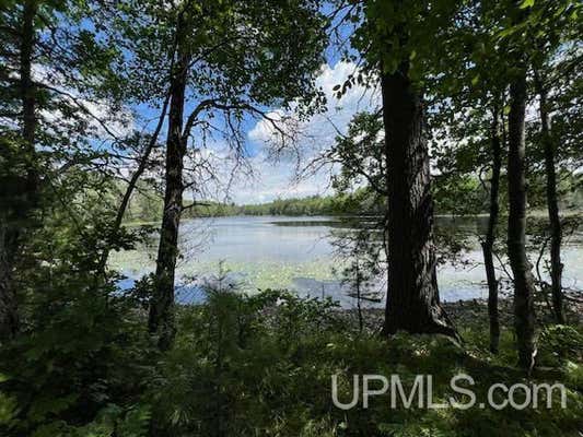 00 S MOON LAKE, WATERSMEET, MI 49969 - Image 1