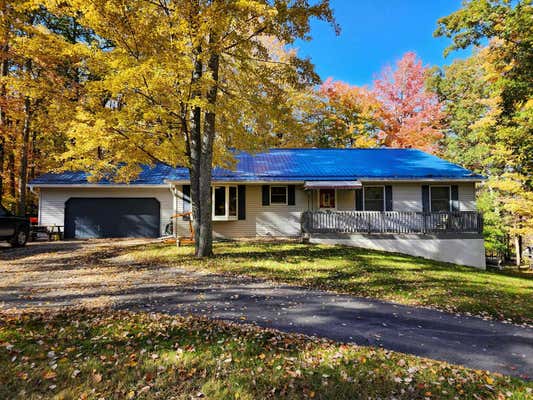 5206 WOLF LN, FARWELL, MI 48622 - Image 1