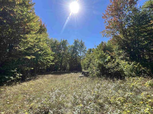 TBD 40 ACRES OFF H-58, GRAND MARAIS, MI 49839 - Image 1