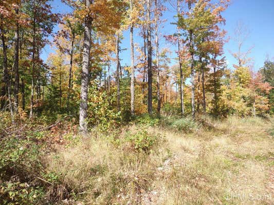 TBD OFF M38, PELKIE, MI 49958 - Image 1