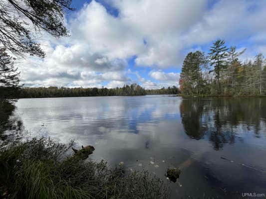 TBD HORSESHOE LAKE, REPUBLIC, MI 49879 - Image 1