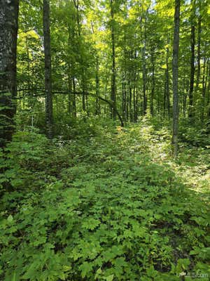 UNIT 12 REDRIDGE CREEK, ATLANTIC MINE, MI 49905 - Image 1