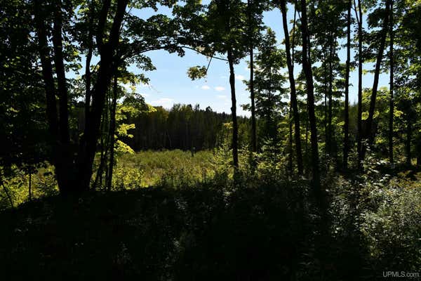 B3189 OFF 426 COUNTY, FELCH, MI 49831, photo 3 of 17