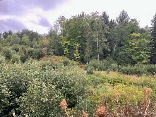 TBD GOLDMINE LAKE, ISHPEMING, MI 49829 - Image 1