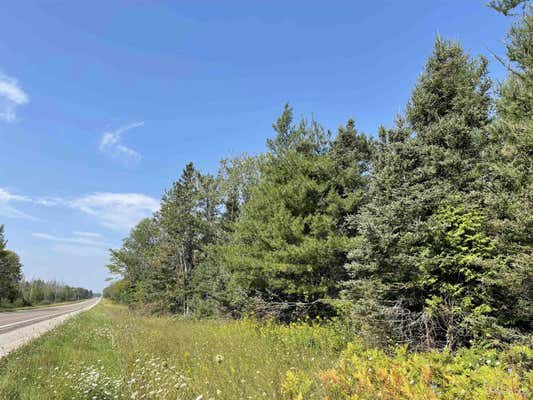 80 ACRES OFF M94, SKANDIA, MI 49885 - Image 1