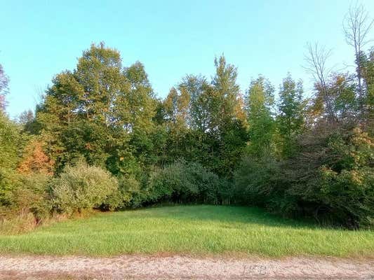 LOTS 60-61 HUNTINGTON, GLADWIN, MI 48624 - Image 1