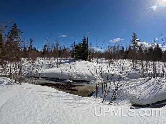 120 ACRES SELMA ROAD, SKANDIA, MI 49885 - Image 1